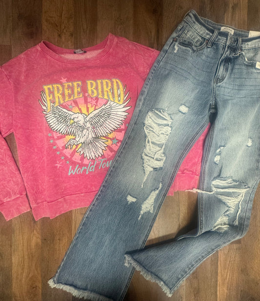 Freebird pink sweatshirt crew NEW